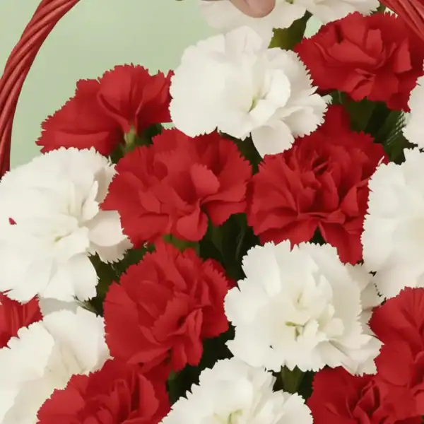 Beautiful Basket with red & white carnations