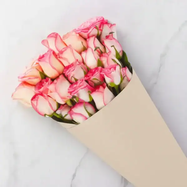 Beautiful Jumelia Roses