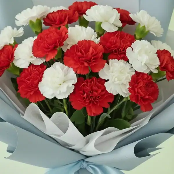 Beautiful Red & White Carnation Bouquet