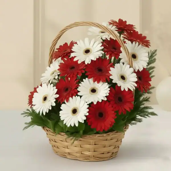 Best Basket with Red & White Gerbera for Christmas