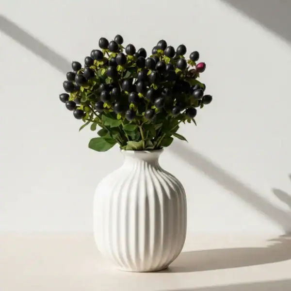 Black Hyperciums Berries in a vase