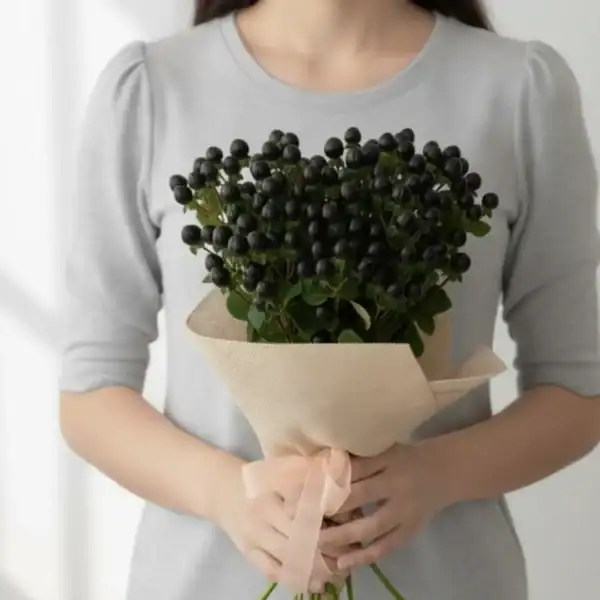 Black Hyperciums Berry wrapped and held in hands by a girl