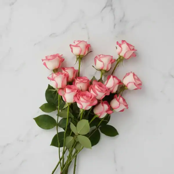 Jumelia Roses looking beautiful