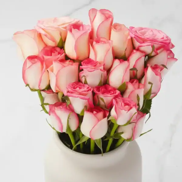 Jumelia Roses zoomed in view