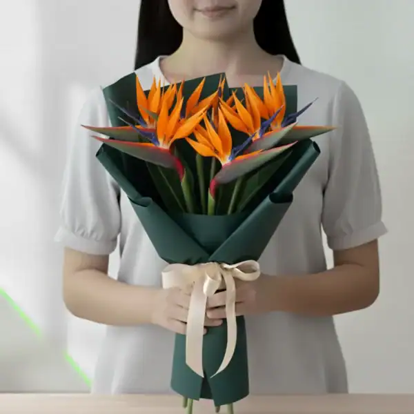 Orange Birds of Paradise wrapped and held in hands by a girl
