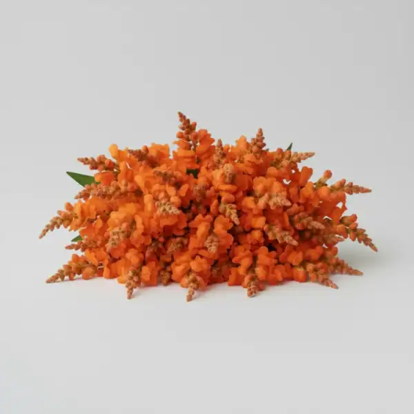 Orange Snapdragon on table