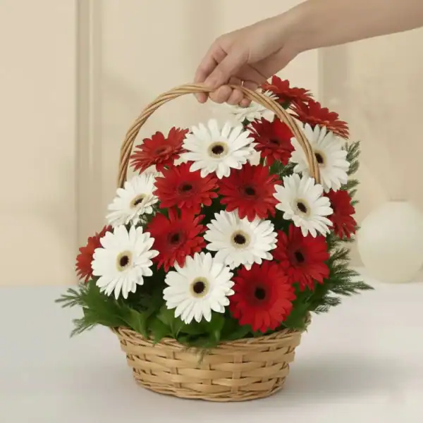 Order Basket with Red & White Gerbera at best prices in India