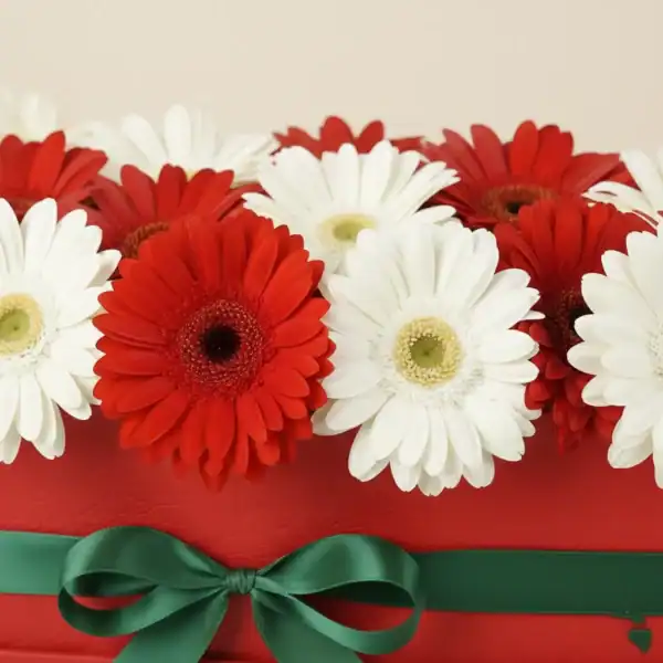 Order Box with Red & White Gerbera at best prices