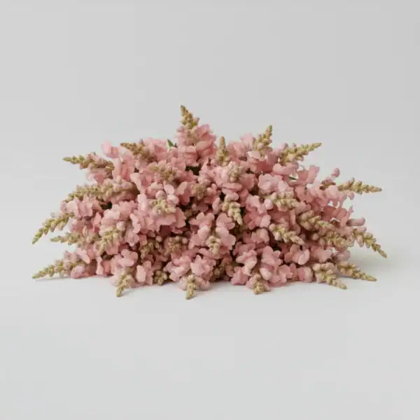 Pink Snapdragon on table