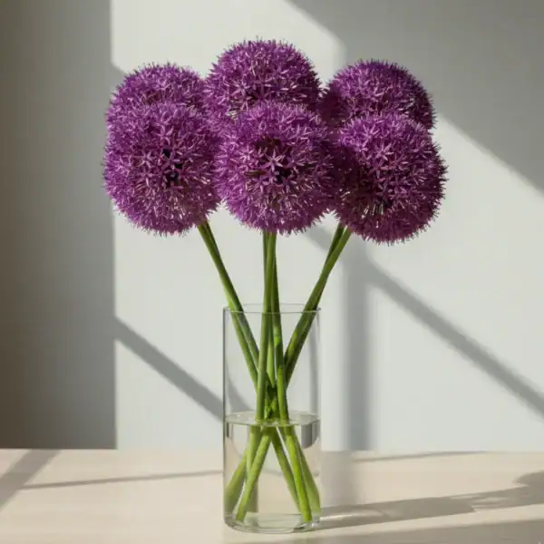 Purple Alliums in a Vase