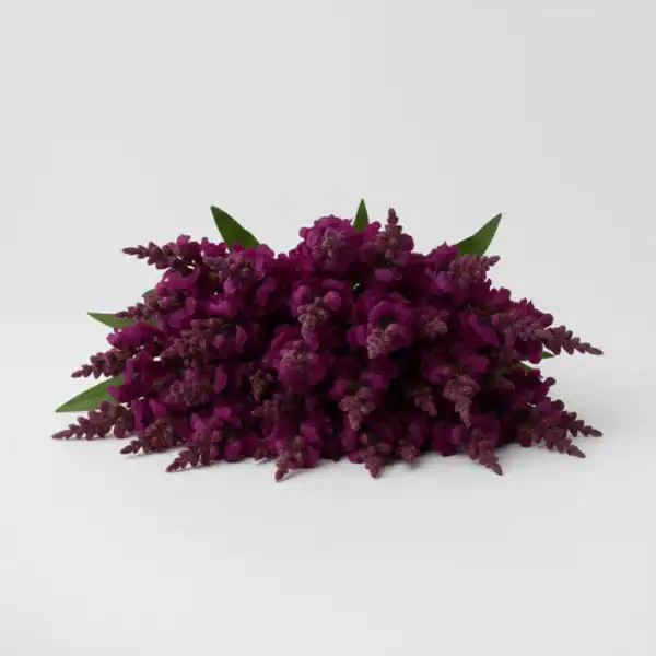 Purple Snapdragon on table