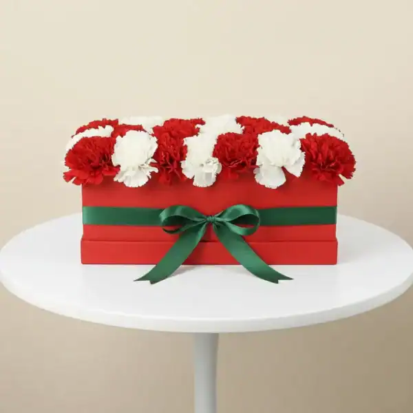 The best Box with red & white carnations