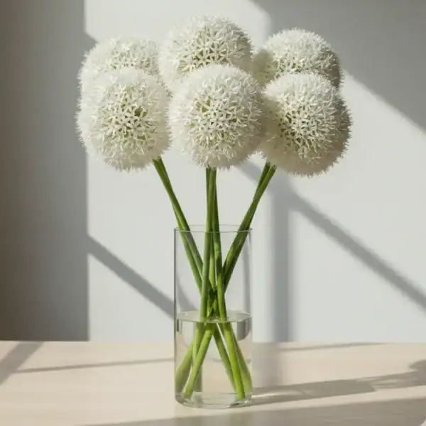 White Alliums in a Vase