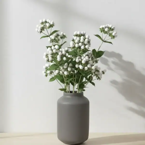 White Hyperciums Berry in a vase