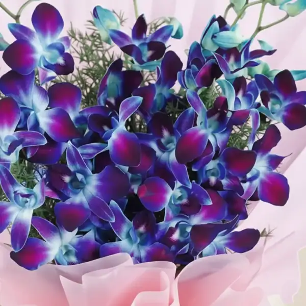 Beautiful Medium Size Blue Orchid Bouquet