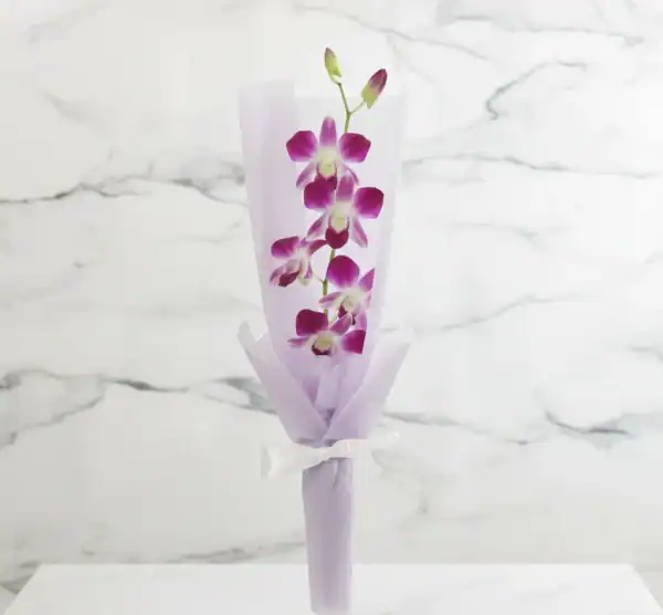 Single Stem Purple Orchid Bouquet