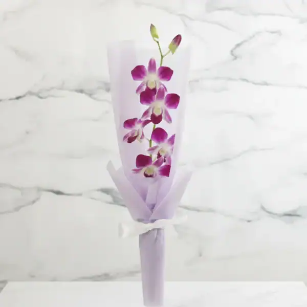 Single Stem Purple Orchid Bouquet