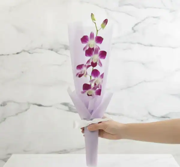 Single Stem Purple Orchids Bouquet near you