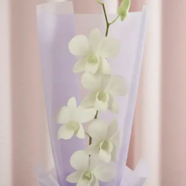 Single Stem White Orchid Bouquet