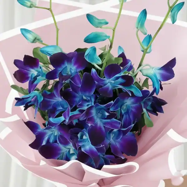 Small Size Blue Orchid Bouquet for your loved ones