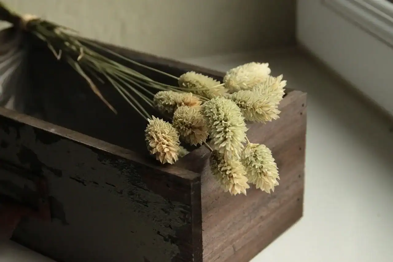 Natural dried flowers arranged in a rustic wooden box, showcasing preserved botanical stems for vintage home decor and dried flower arrangements.