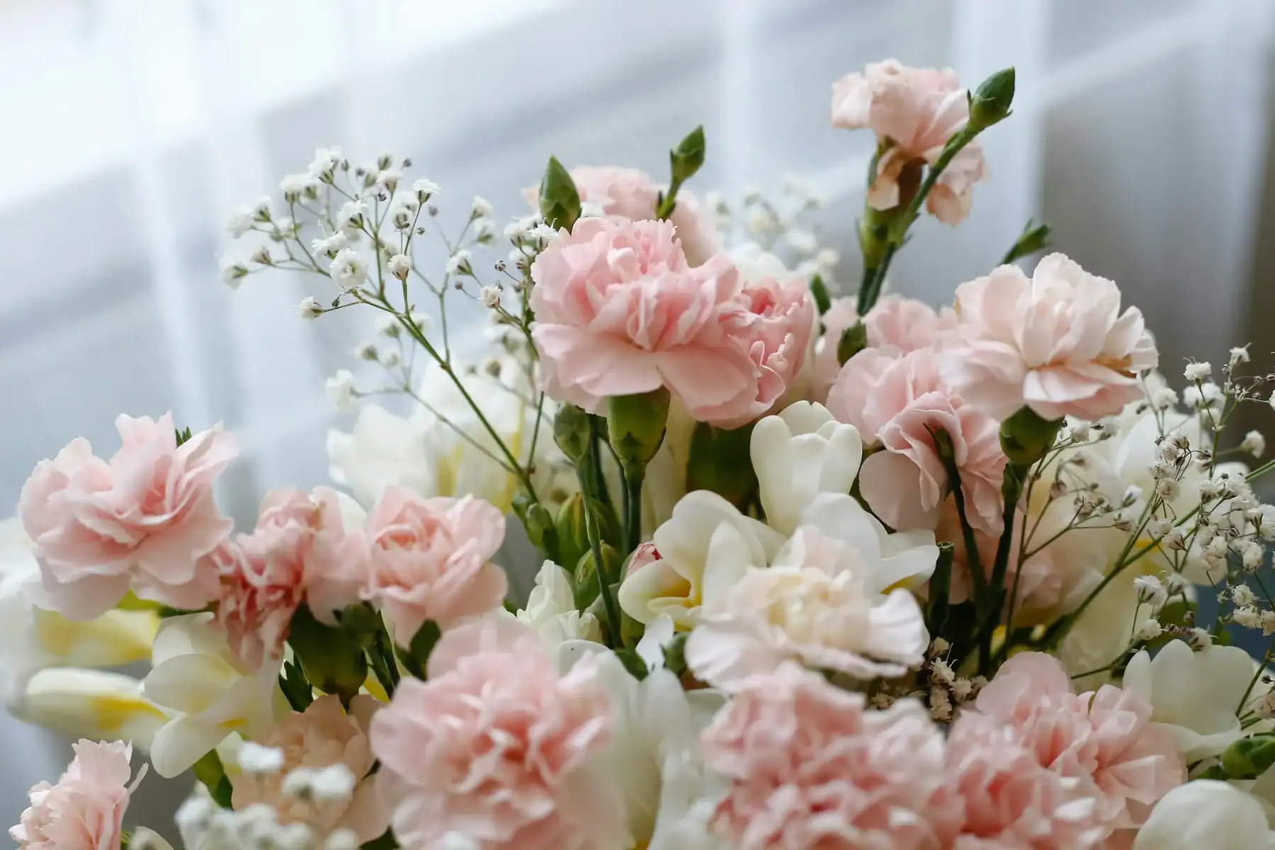 Elegant floral arrangement featuring soft pink carnations, white freesias, and delicate baby's breath accents against a bright window background.