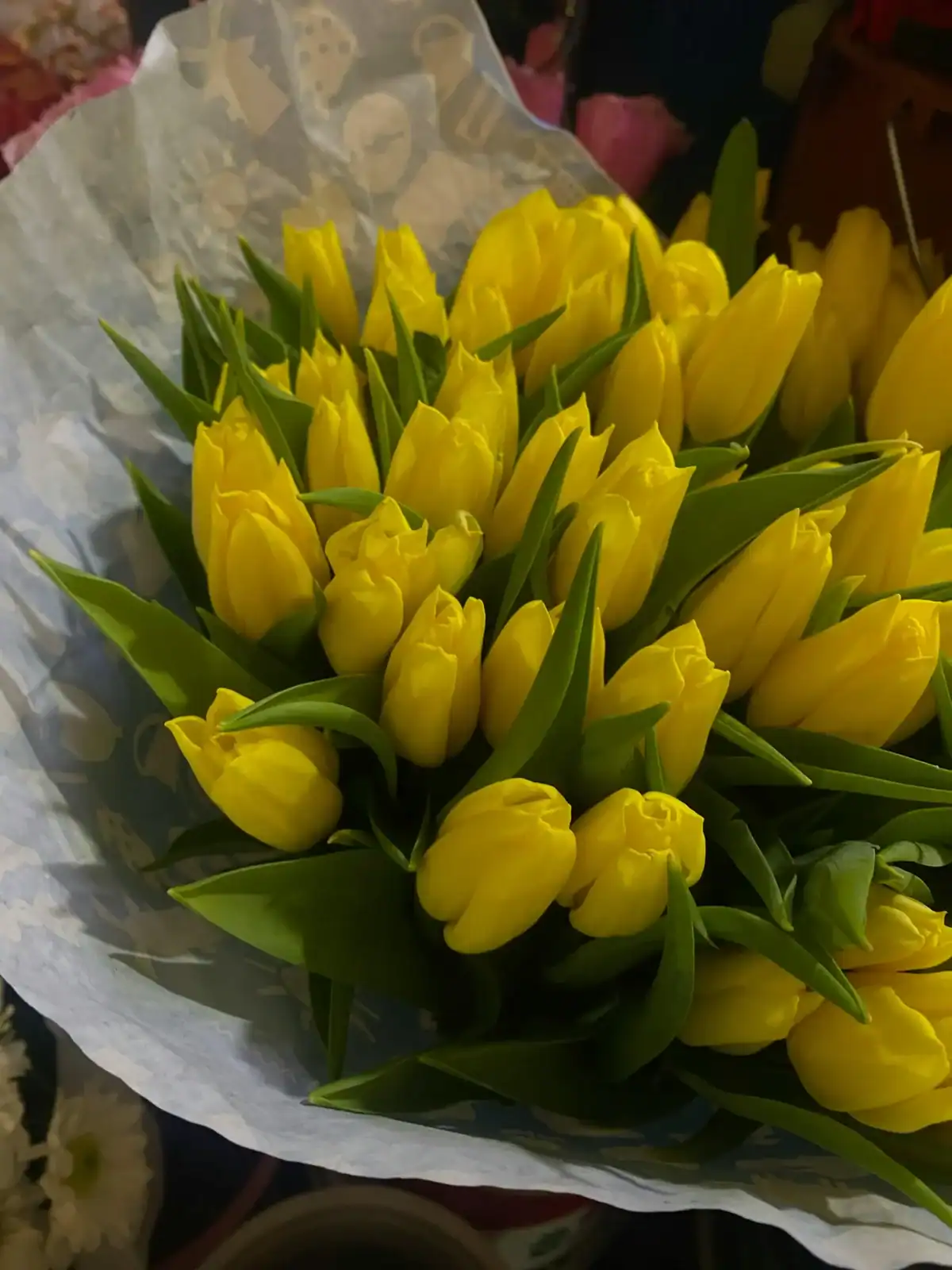 A large bouquet of bright yellow tulips with fresh green leaves, wrapped in patterned light blue paper, shown in a close-up overhead view.