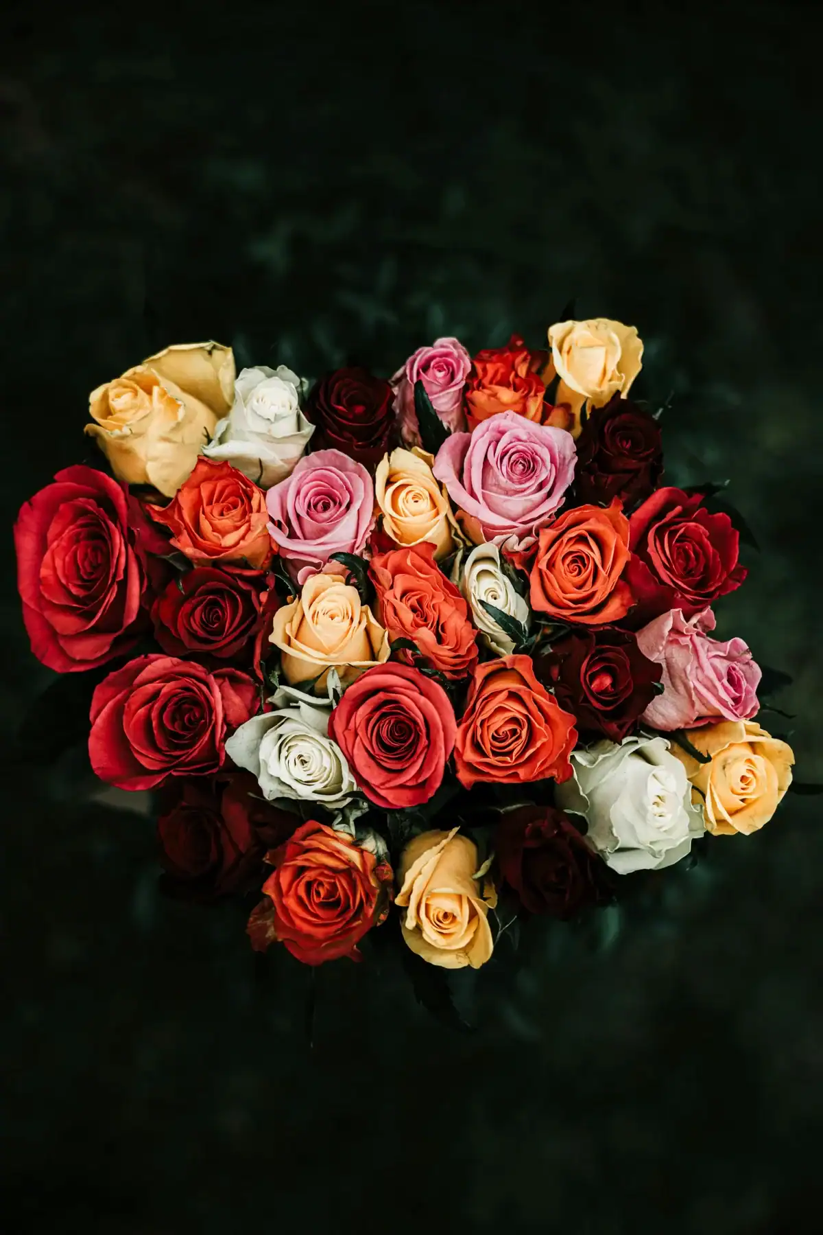 op-down view of a dense colorful rose bouquet featuring red, pink, orange, yellow, and white roses against a dark background. Romantic multi-colored rose arrangement for Valentine's Day, anniversaries, or birthdays.
