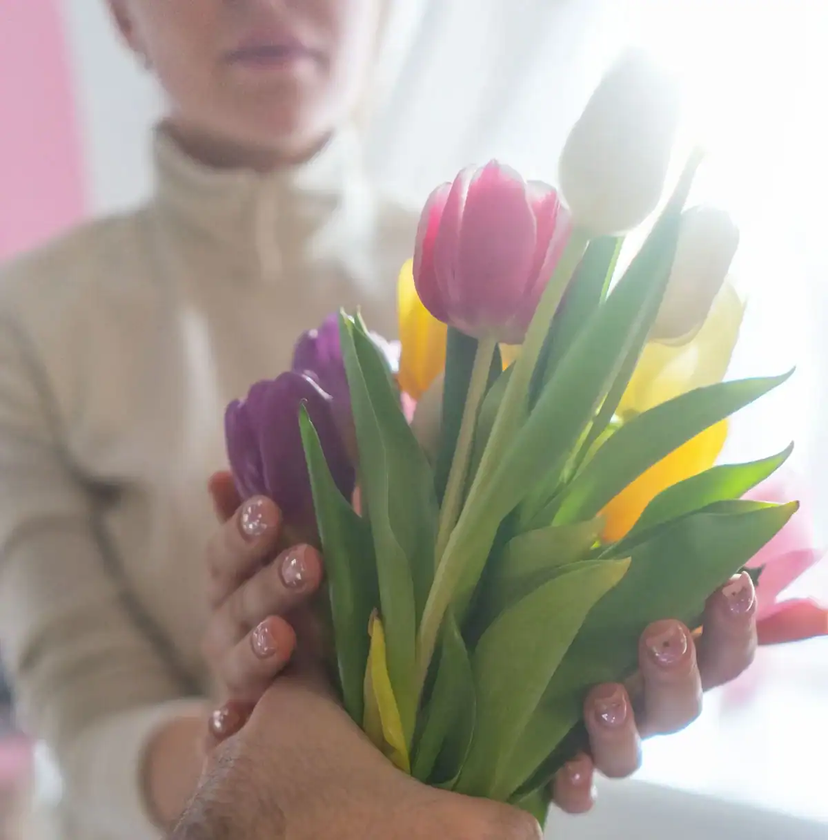 Hand holding colorful tulip bouquet in natural sunlight, fresh spring tulips for romantic gifting, premium seasonal flower bouquet aesthetic and emotional floral moments