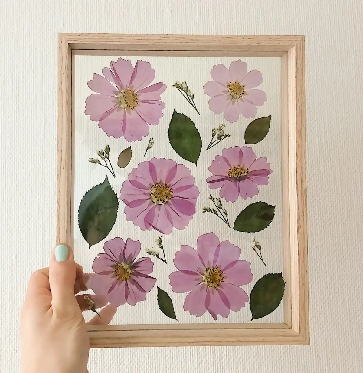 Hand holding a light wood picture frame containing pressed pink cosmos flowers and green leaves preserved between two panes of glass.