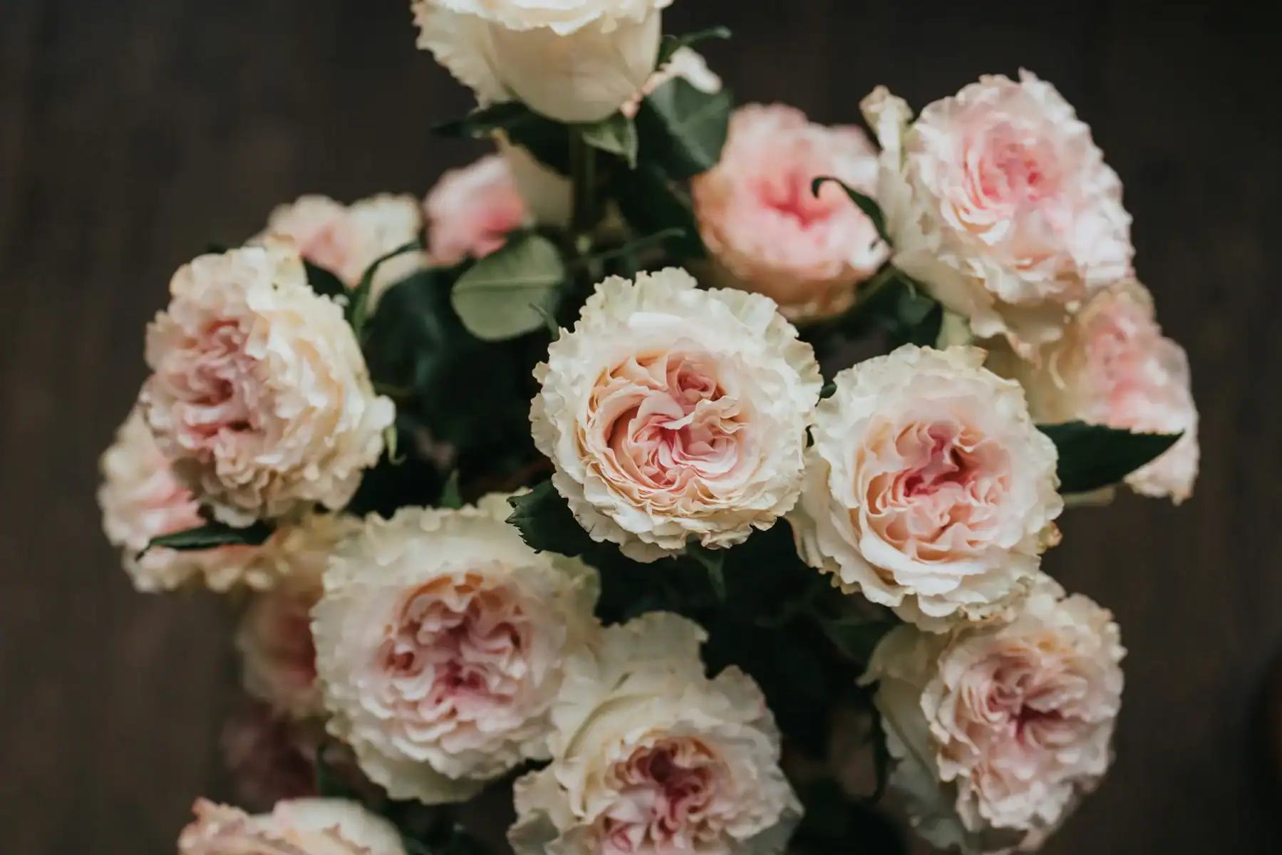 Lush bouquet of cream and blush pink garden roses with ruffled petals and green leaves against a dark wooden background, elegant bridal flower arrangement