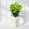 Green Calimero (Button Chrysanthemum)