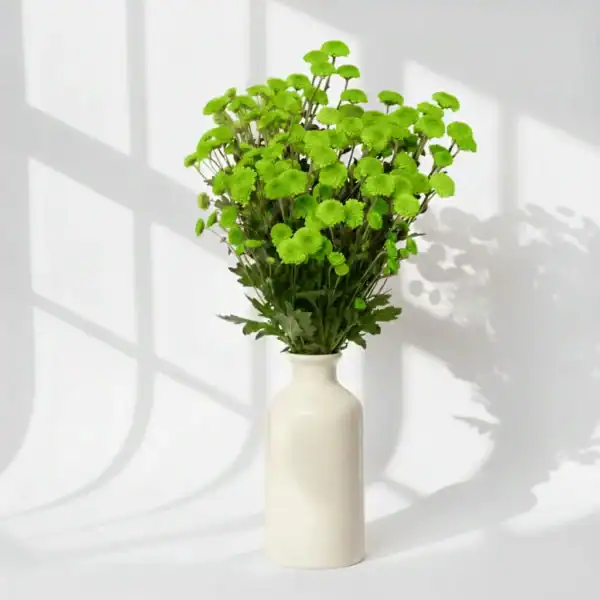 Green Calimero in a vase