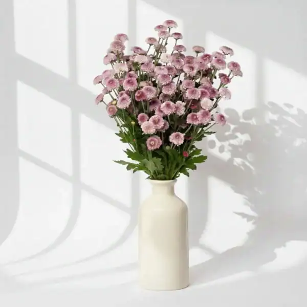 Purple Calimero in a vase