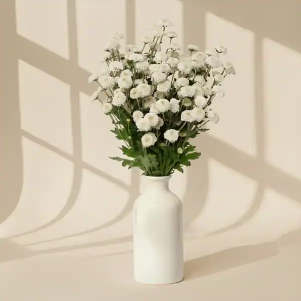 White Calimero in a vase