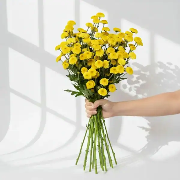 Yellow Calimero held in hand