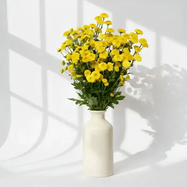 Yellow Calimero in a vase