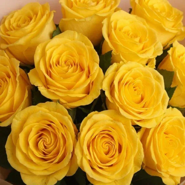 Amazing Yellow Roses Bouquet