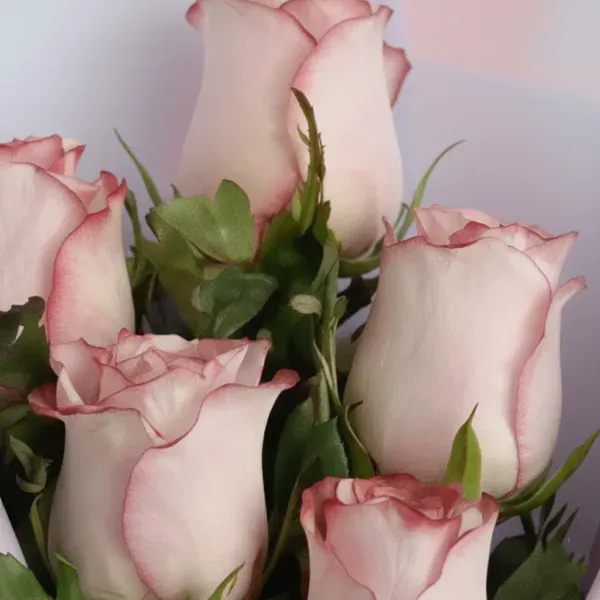 Beautiful Pink Roses Bouquet
