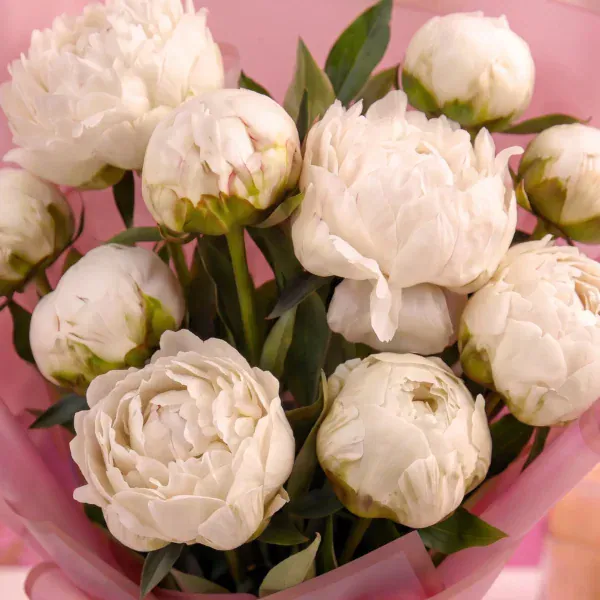 Exotic White Peony Bouquet - 10 Stems
