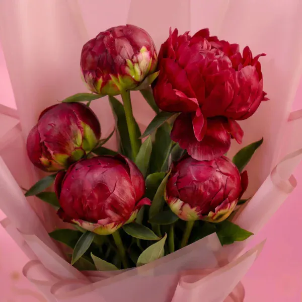 Luxurious Red Peonies Bouquet - 5 Stems