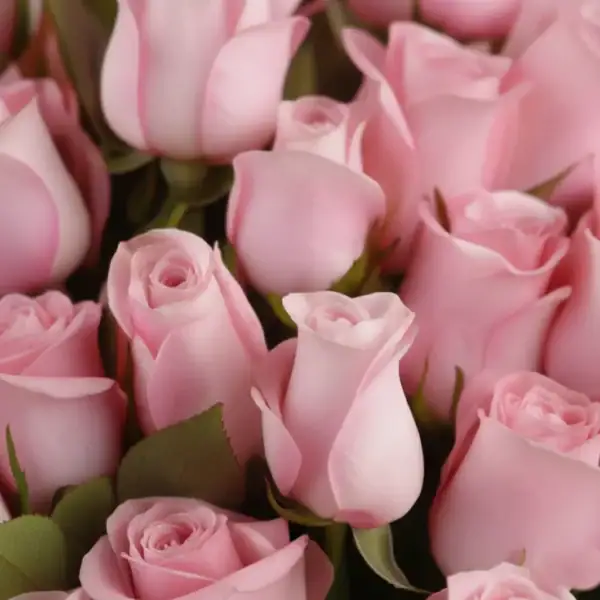 Pink Rose Bouquet