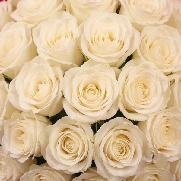White Roses Bouquet