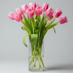 Pink Tulips in a vase